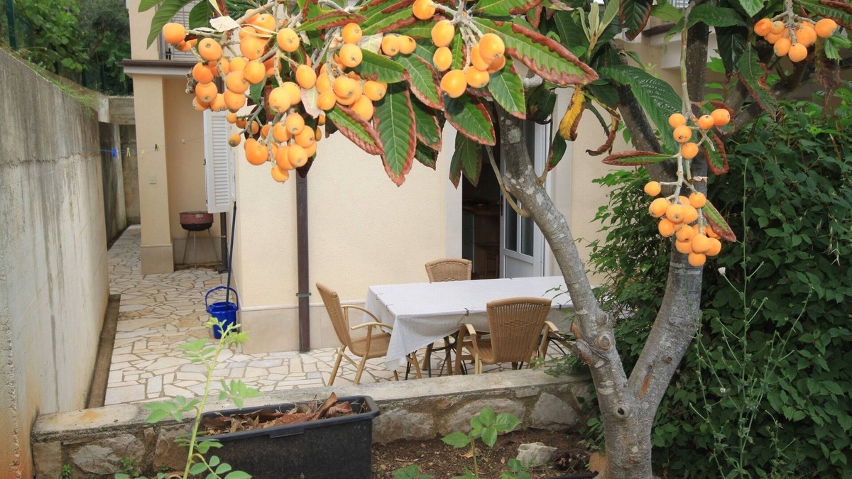 Nerezine Apartment | One bedroom apartment with terrace Nerezine, Lošinj (A-2518-c)