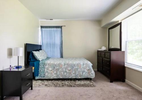 Norwood Apartment | One Bedroom Apartment in Norwood