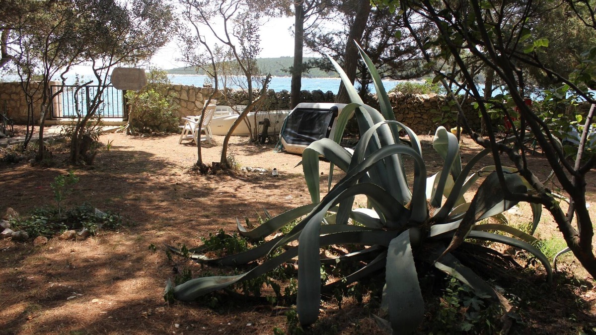 Artatore Apartment | One bedroom apartment near beach Artatore, Lošinj (A-7935-c)