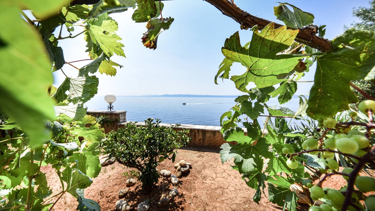 Selca Apartment | One bedroom apartment near beach Puntinak, Brač (A-12255-b)