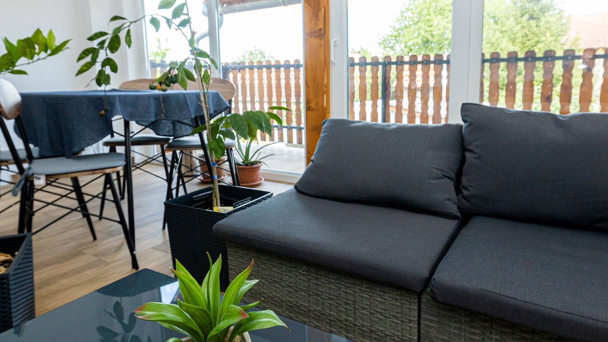 Svajcarnica Apartment | One bedroom apartment with terrace Darda, Baranja (A-21982-b)