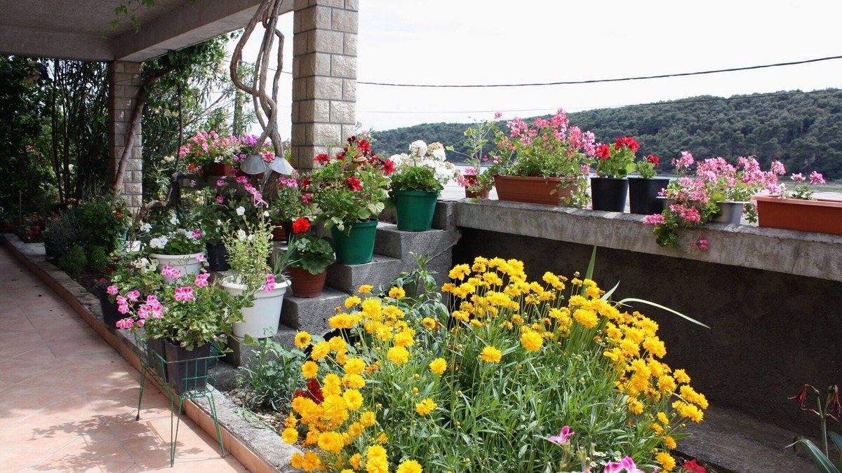 Suha Punta Apartment | One bedroom apartment with terrace and sea view Kampor, Rab (A-4984-b)