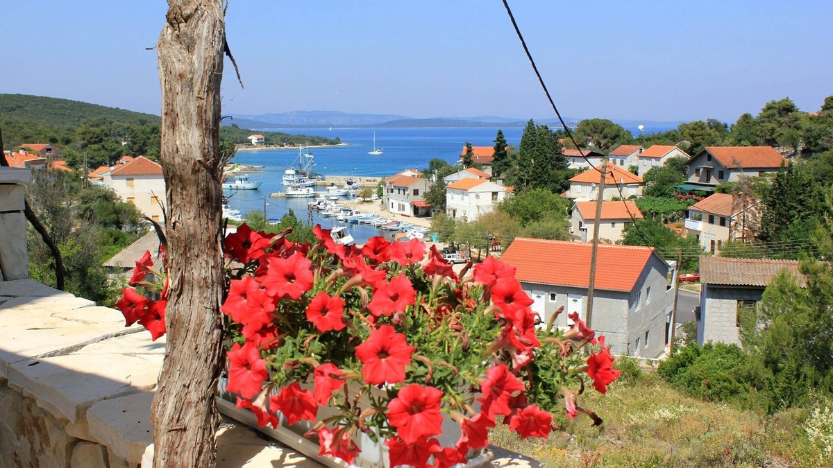 Zman Apartment | One bedroom apartment with terrace and sea view Žman, Dugi otok (A-887-c)