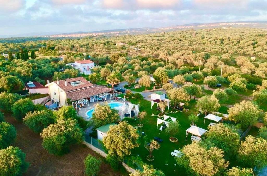 Sorso Apartment | One bedroom appartement with shared pool jacuzzi and enclosed garden at Sorso 2 km away from the beach