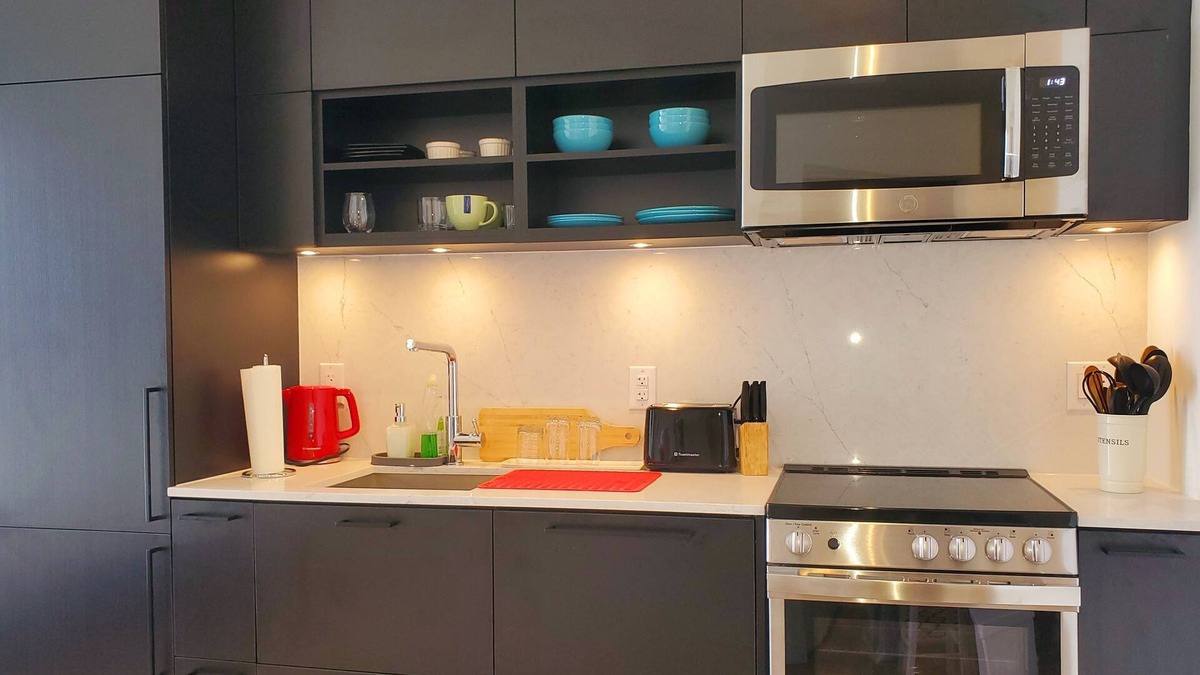 Liberty Village Condo | One Bedroom Brand new Beautiful Lake View Condo