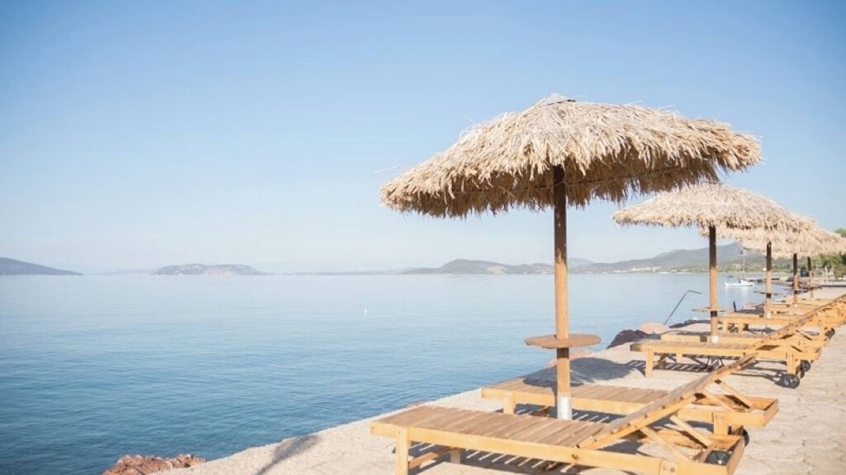 Thermisia Apartment | One-Bedroom Apartment with Sea Views and Olive Grove Serenity for Up to 4 Guests