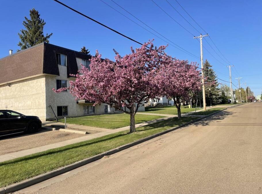 Camrose Apartment | One Bedroom Main floor Apartment