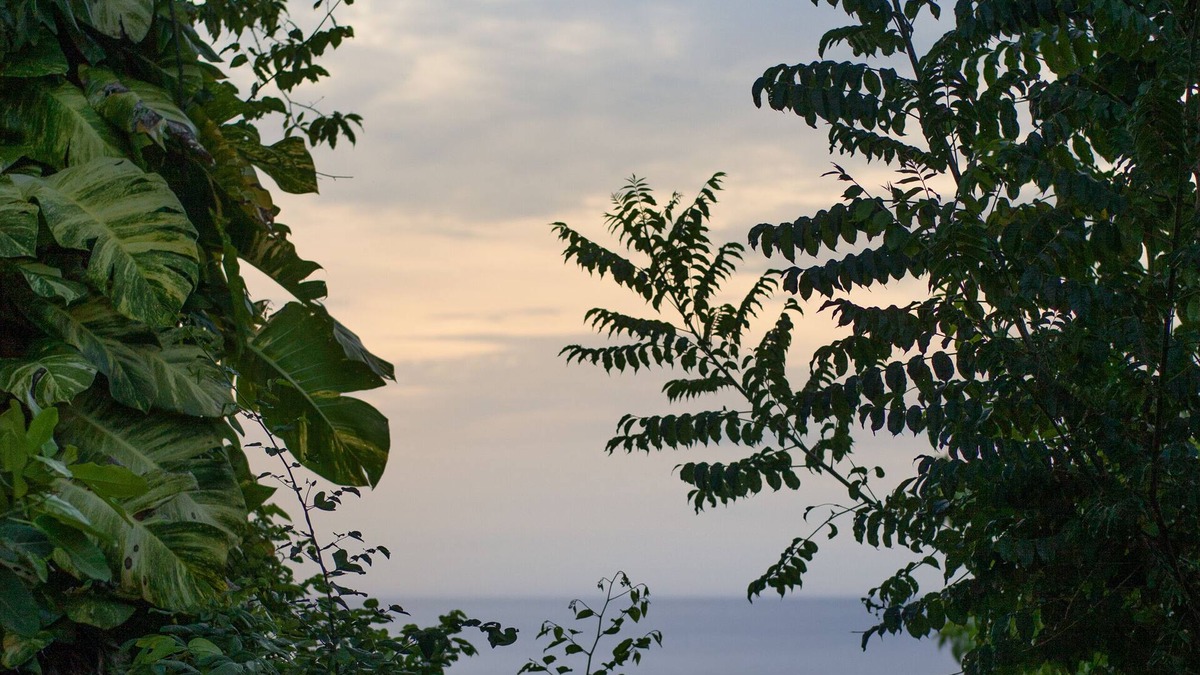 Port Antonio Villa | One Bedroom Sea View Villa, Frenchman's Cove Resort