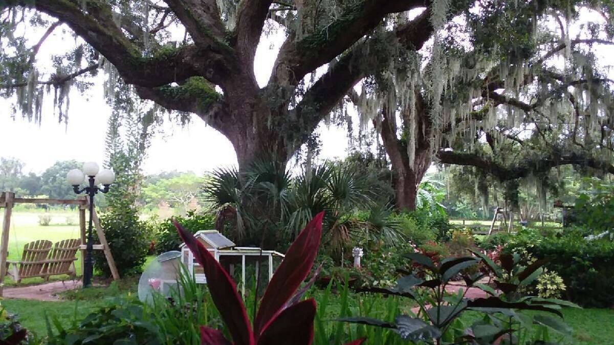 Plant City Cottage | One bedroom suite with one bedroom cottage in beautiful surroundings
