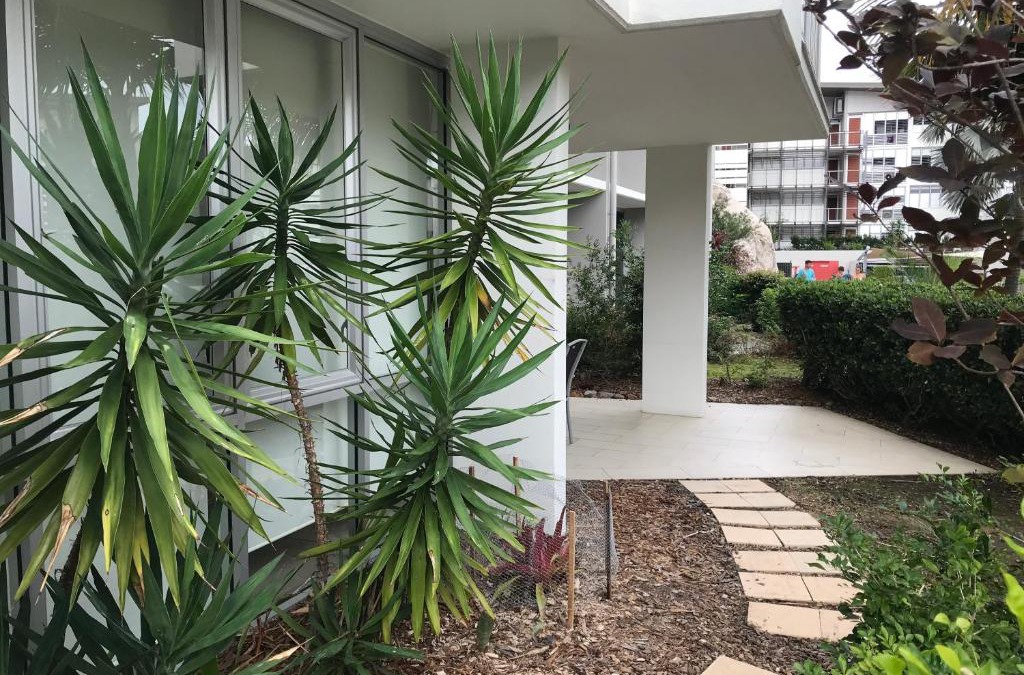Nelly Bay Apartment | One Bright Point Euodia Unit 1102