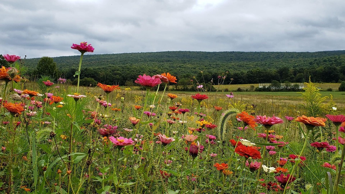 Jones Mills Cabin | One of a kind, private, beautiful rustic cabin in the Laurel Highlands