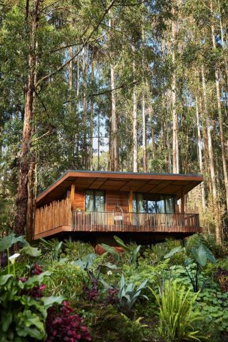 Kinigi Resort | One&Only Gorilla's Nest