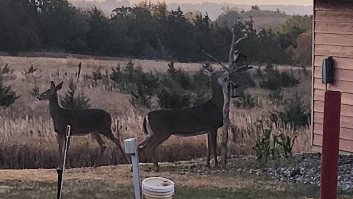 Crofton Cabin | One4-bedroom cabins with WiFi and AC in Crofton, NE. Reserve for one night/more.