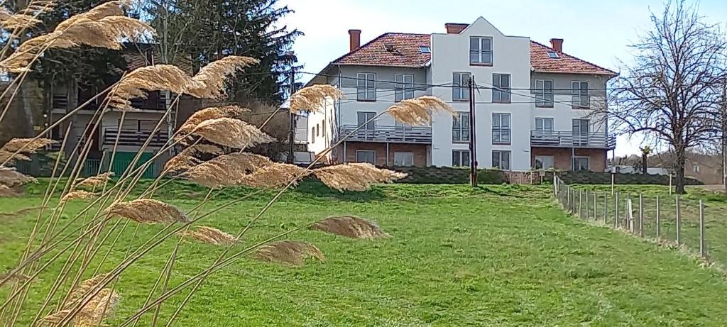 Orfu Apartment | Onix-Vital Apartman Orfű