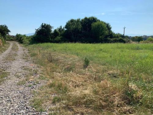 Shkoder County Other | Opened landspace for vehicles and persons to camp