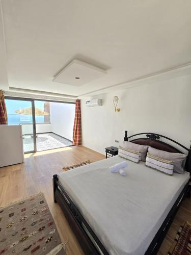 Taddart Bed & Breakfast | Openwaves surf house