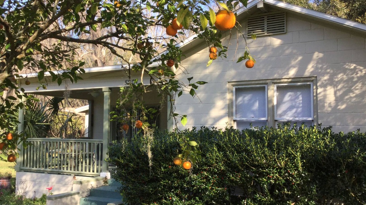 McIntosh House | Orange Blossom in Historic McIntosh