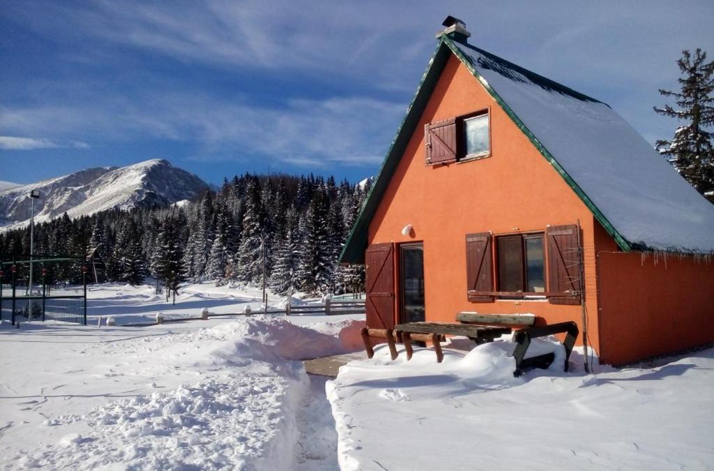 Razvrsje House | Orange House in nature