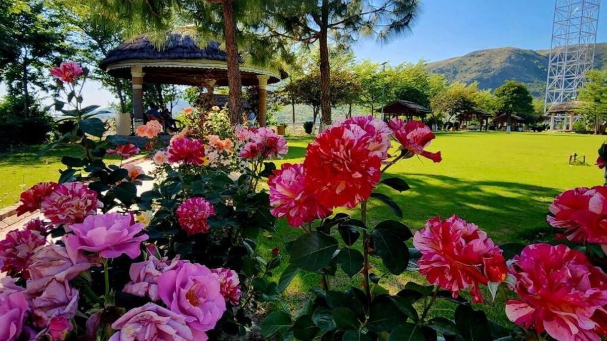 Hassan Abdal Hotel | Orange Lake Resort Khanpur Pakistan