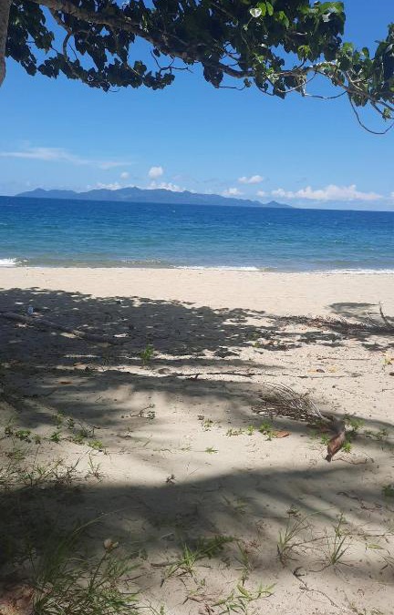 Pacific Harbour Bed & Breakfast | Orchid Island B&B on the River with Pool & Jetty