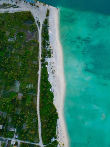 Maamigili Hotel | Oren Hotel Maldives
