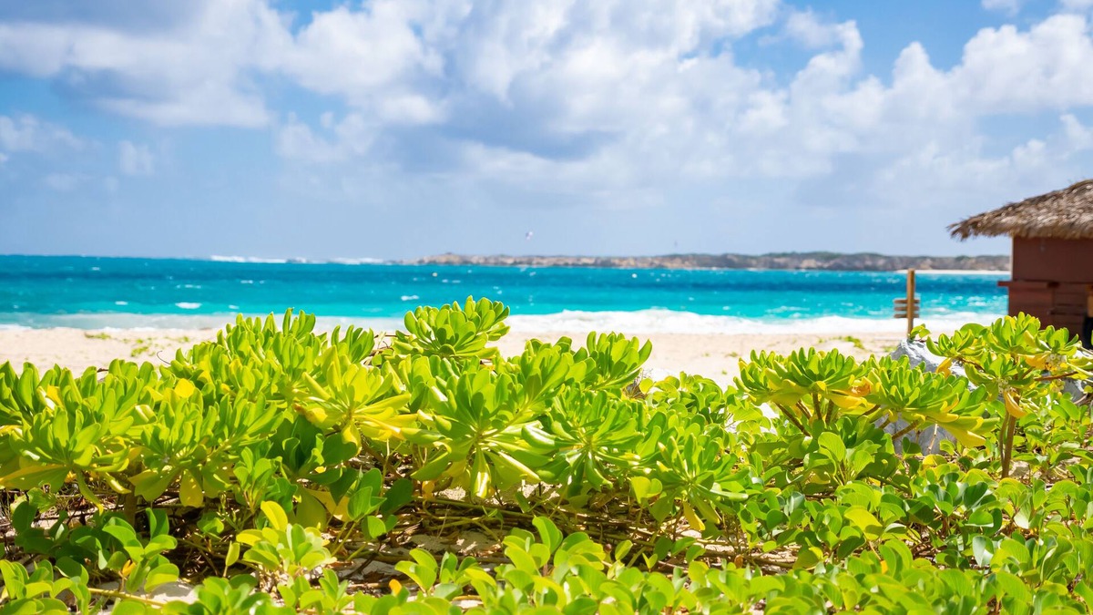 Orient Bay Hotel | Orient Beach Hotel