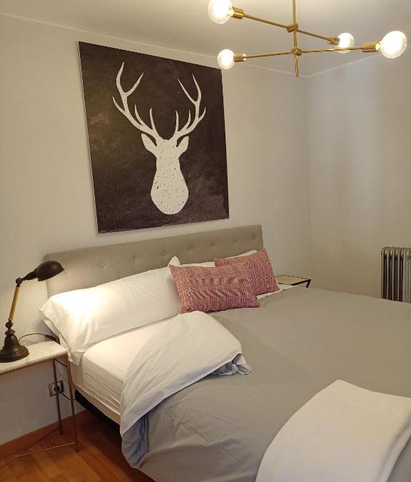 Biescas Apartment | Origen Pelaire excelente limpieza y ubicacion