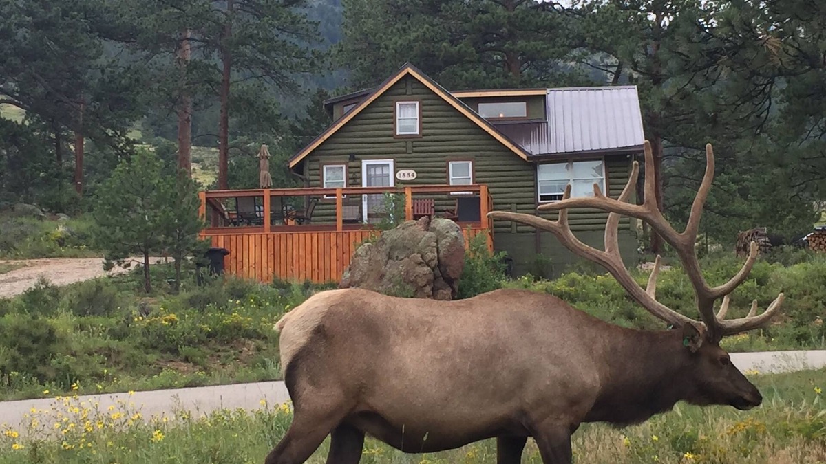 Estes Park Cabin | Original Rocky Mountain National Park Cabin W/Modern Updates &360 Mountain Views