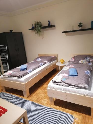 Kecskemet Apartment | Orsi Szálláshelyek Kecskemét 2