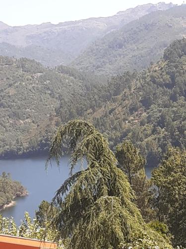 Cova Resort | Os Girassóis da Carla