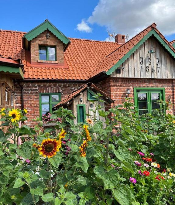 Braniewo House | Osada Między Drzewami