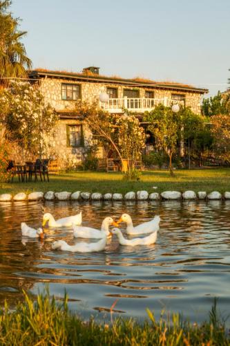 Ortaca Bed & Breakfast | Otantik Tas Ev