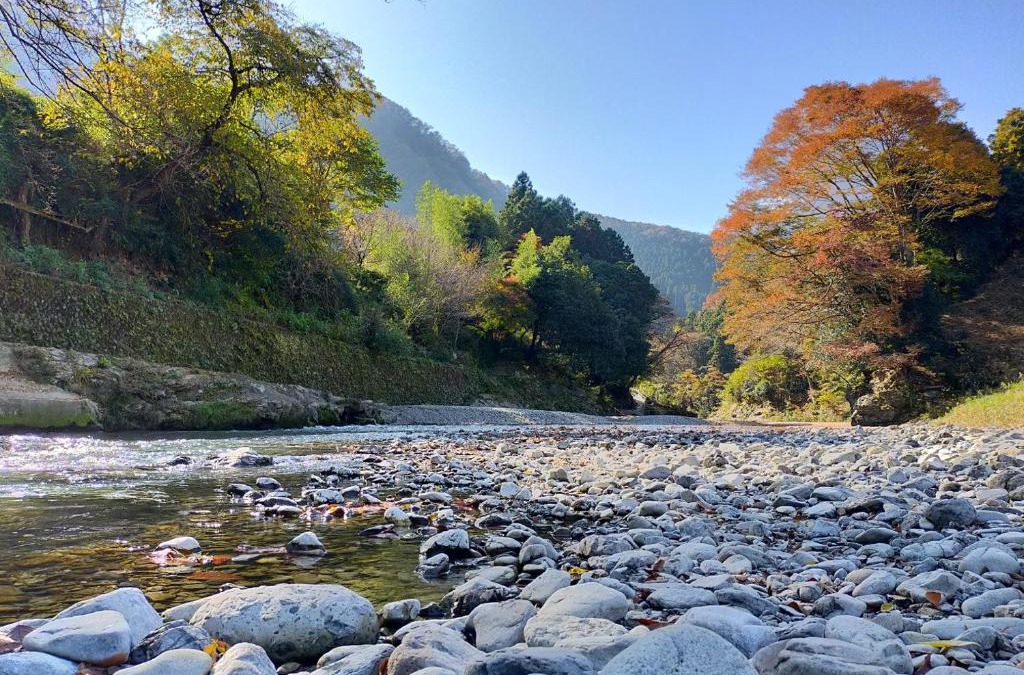 Akiruno House | Otsu Nature Garden