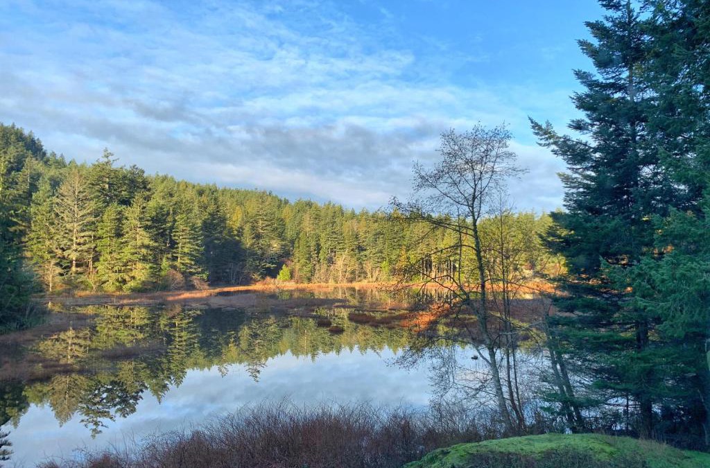 Rosario Bed & Breakfast | Otter's Pond Bed and Breakfast