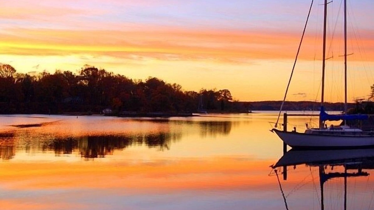 Lake Shore House | Our Home on the Cove: waterfront, peaceful, wooded, comfy, family friendly