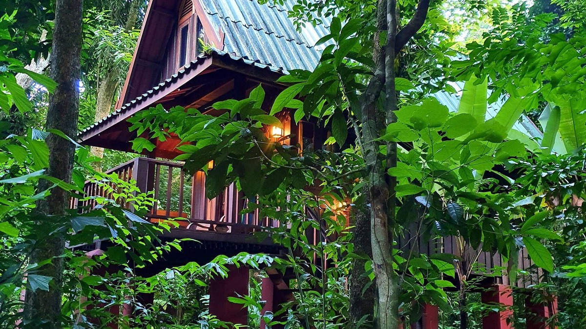 Khlong Sok Hotel | Our Jungle House