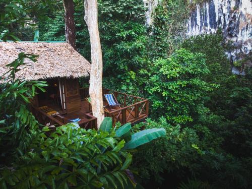 Khlong Sok Resort | Our Jungle House