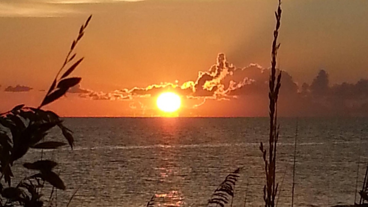 Placida Condo | Our Little Island Dream Home with Ferry Included
