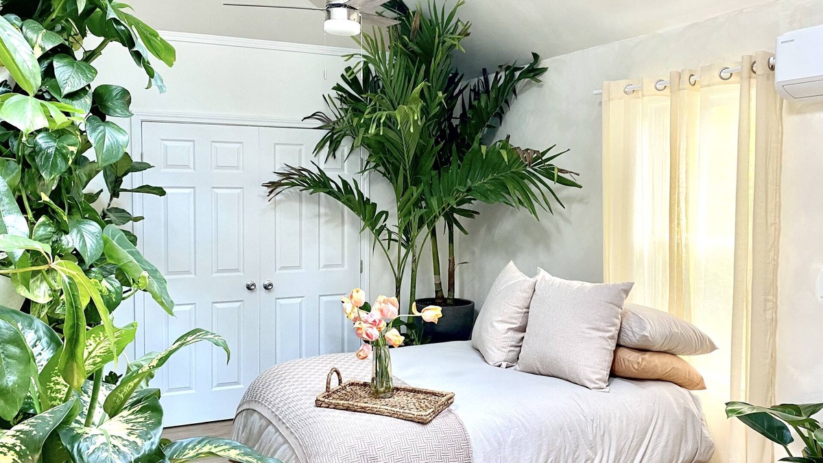 Memphis House | our living house. a small space dedicated to rest.