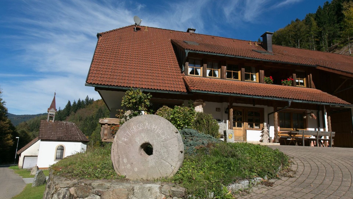 Simonswald Apartment | Our neighboring forests are a paradise for nature lovers and hikers.
