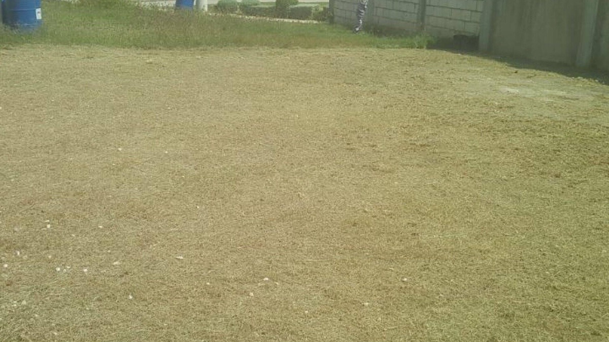 Kingston House | Outdoor swimming pool ,free WiFi and garden view .this self catered holiday