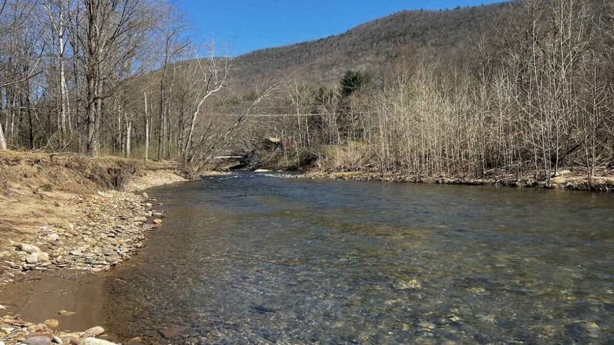 Bodines House | Outdoorsman’s Paradise