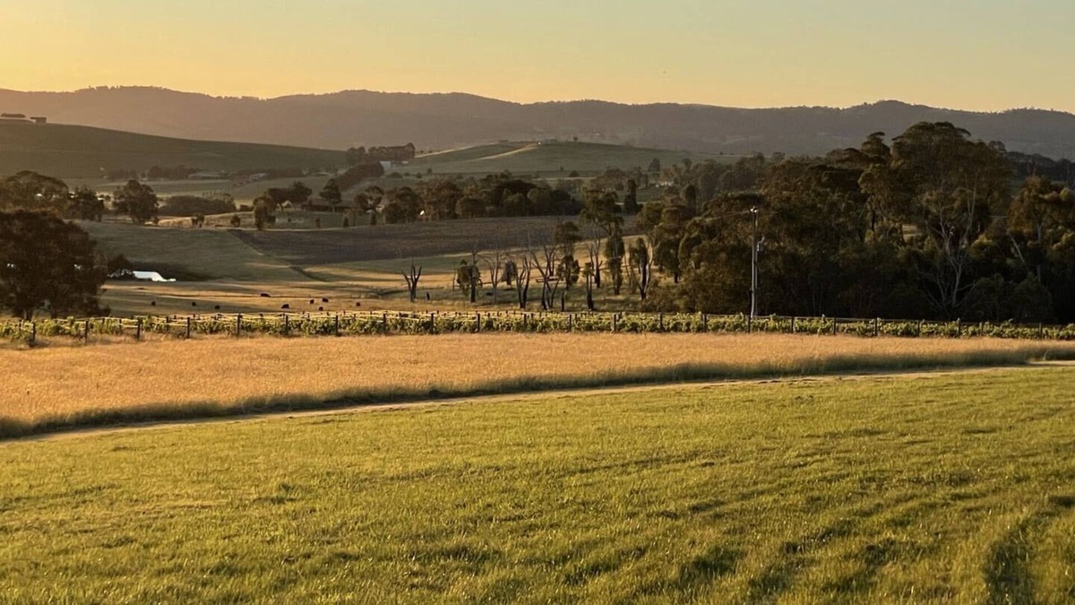 Tarrawarra Other | Outlook Hill Garden Estate - Art Galerie
