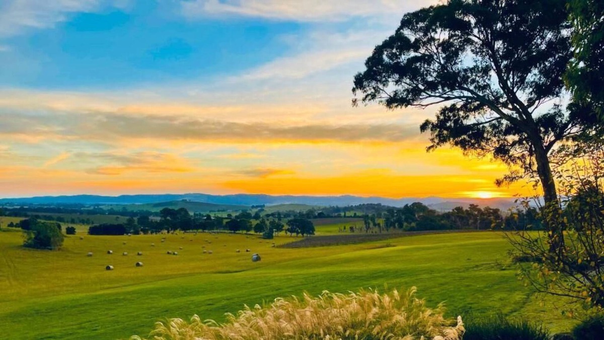 Tarrawarra Villa | Outlook Hill Garden Estate - Modern Villa