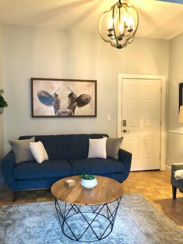 Downtown Dunedin Apartment | Overlooking Downtown Dunedin Two Bedroom apartment NO KIDS, NO PETS