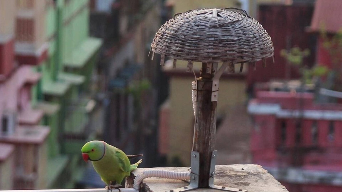 Kolkata Apartment | Owl's Nest: attic room