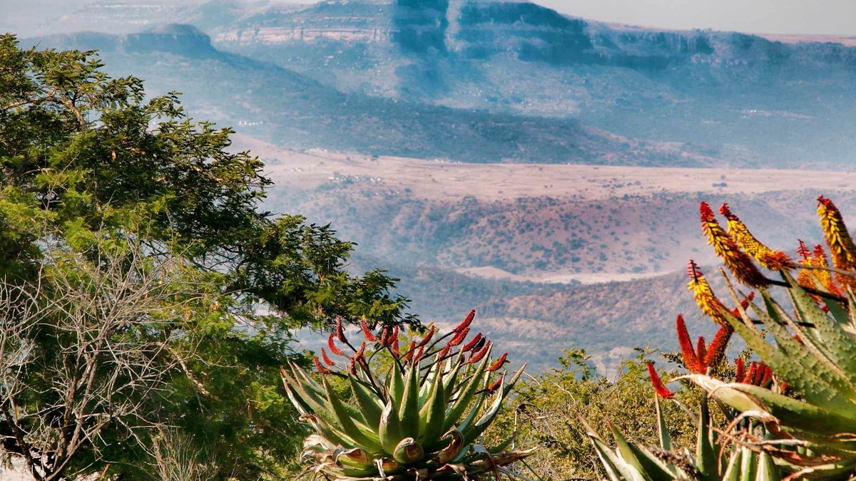 Endumeni Cabin | Own your piece of Africa