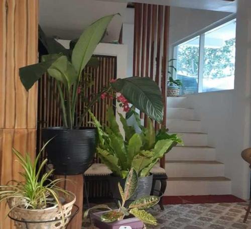Mindoro Hotel | OYO 1130 Thrivers Hometel