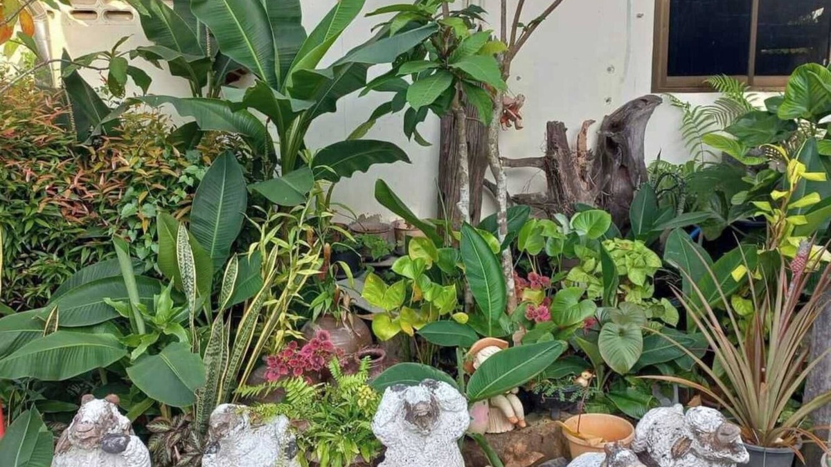 Nuea Khlong Hotel | OYO 75524 SK Resort