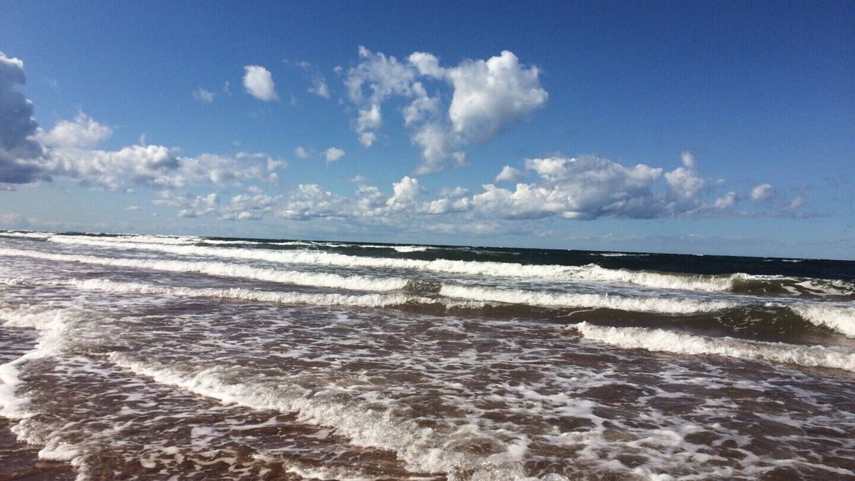 Darnley House | Oysterbay Cottage - Fun, Beach and Food! License number 2100974